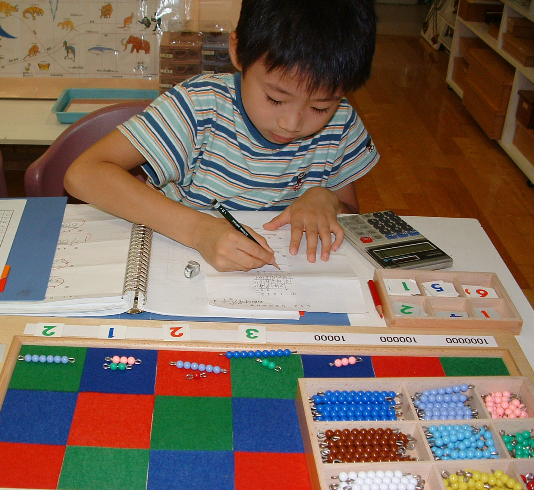 montessori-curriculum-montessori-ivy-league-academy